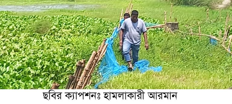 মুন্সীগঞ্জে সাংবাদিকের উপর হামলার ঘটনায় মামলার আসামি ধরছেনা পুলিশ