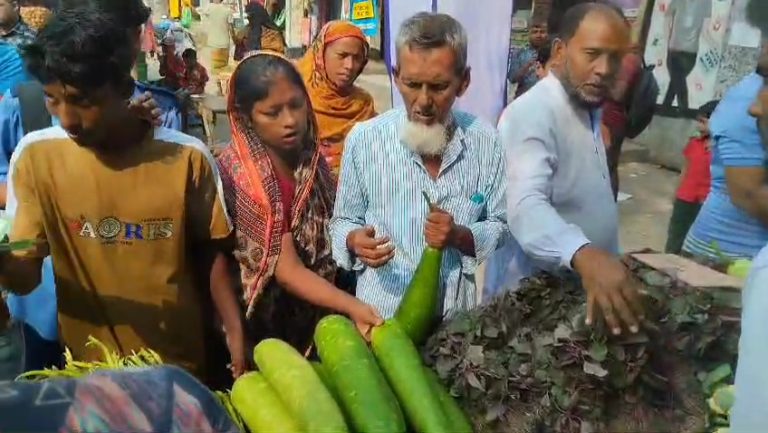 সিন্ডিকেট ভাঙতে টঙ্গীবাড়ীতে শিক্ষার্থীদের সবজি বিক্রি